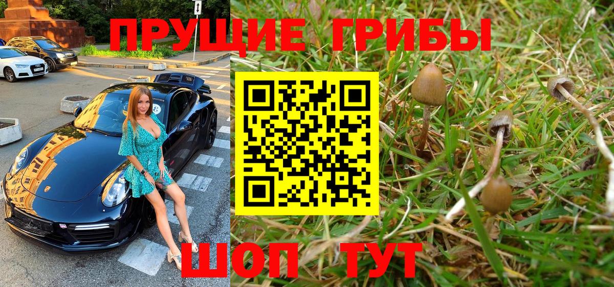 Галлюциногенные грибы прущие грибы Шатура