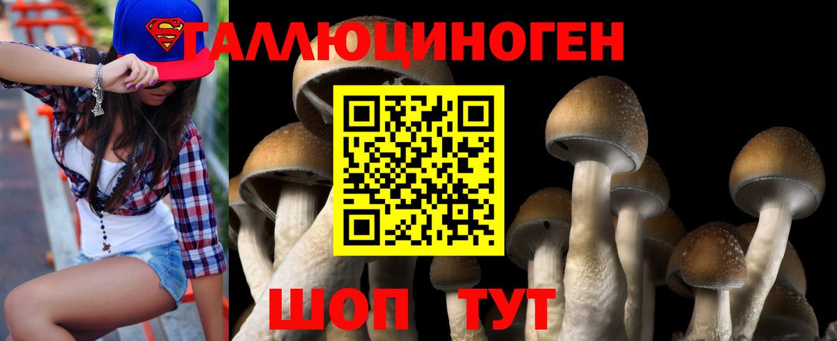 Шатура  Галлюциногенные грибы Magic Shrooms  закладка  Вход с VPN 